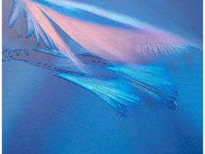 Wenko WC-Sitz Softness aus Duroplast