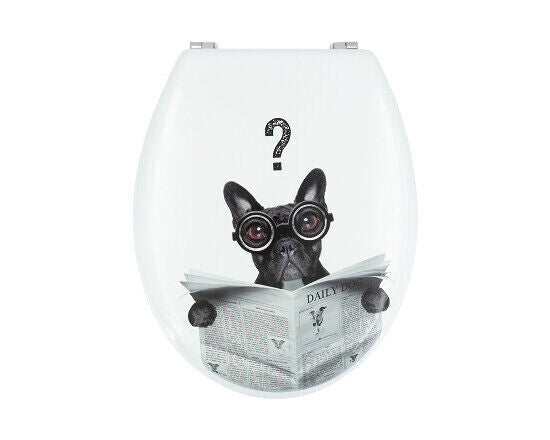 Toilettensitz mit Absenkautomatik