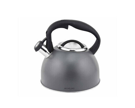 Michelino Edelstahl Teekessel Flötenkessel Wasserkocher Wasserzubereiter Kessel