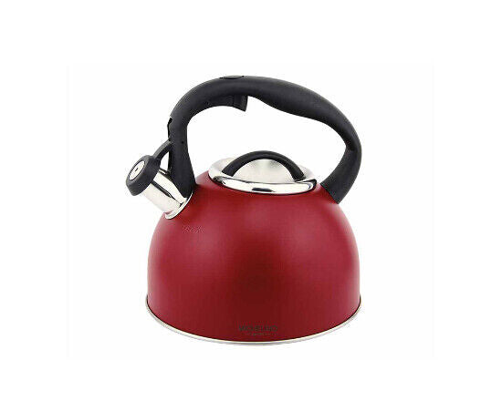 Michelino Edelstahl Teekessel Flötenkessel Wasserkocher Wasserzubereiter Kessel